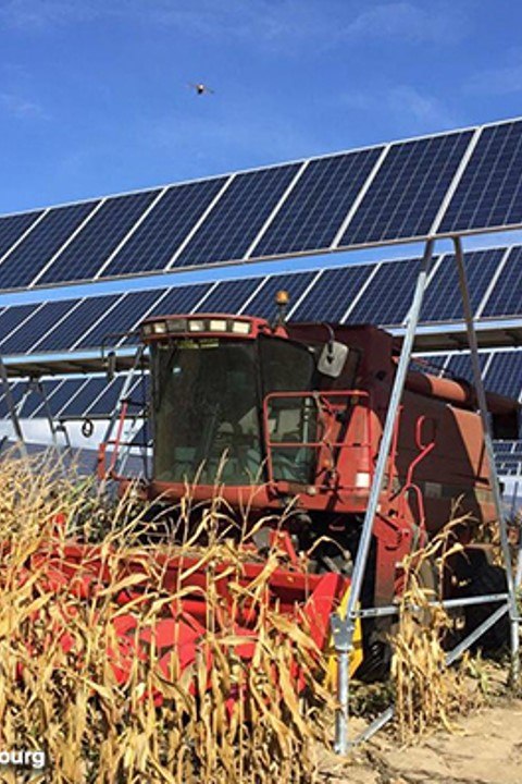 agrivoltaïsme